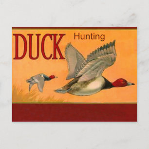 Carte postale de chasse au canard
