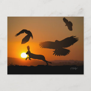 Carte postale de chasse de Harris Hawks