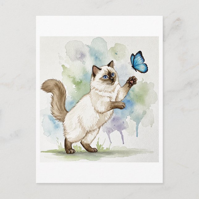 Carte postale de chat blanc mignon papillon yeux b (Devant)