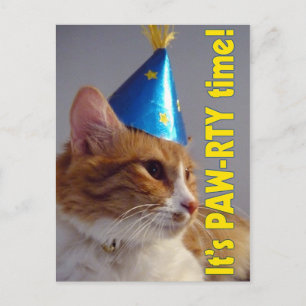 Carte postale de chat de l'invitation PAW-RTY de