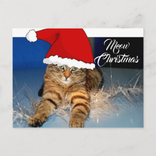 Carte postale de chat de Noël mignonne avec voeux