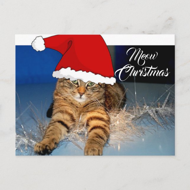 Carte postale de chat de Noël mignonne avec voeux  (Devant)