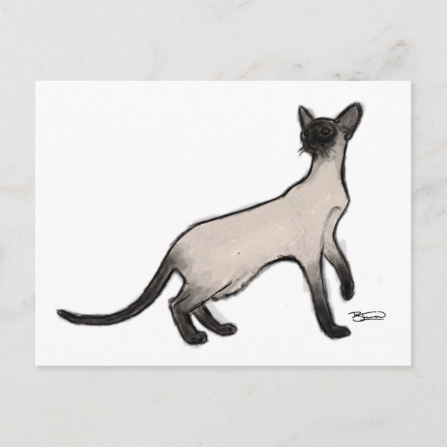 Carte postale de chat de Siamese (Devant)