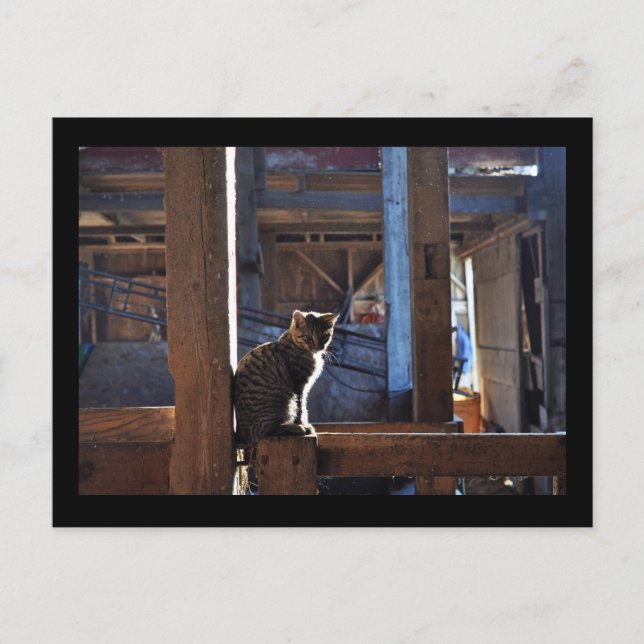 Carte postale de Chat. Denis. (Devant)