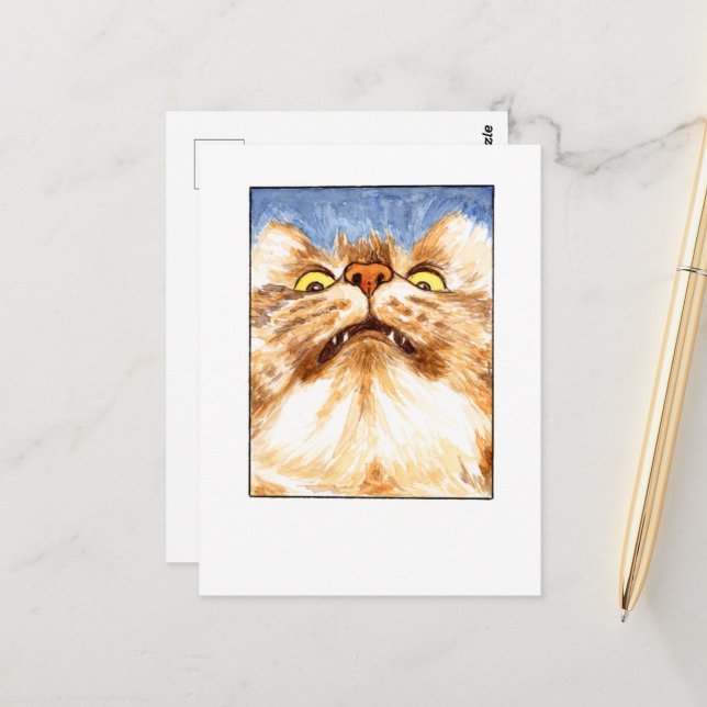 Carte postale de chat - DNM (Devant/Arrière en situation)