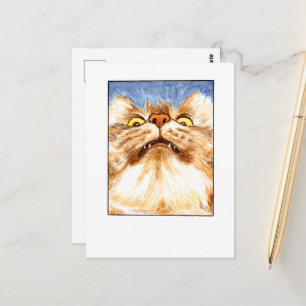 Carte postale de chat - DNM