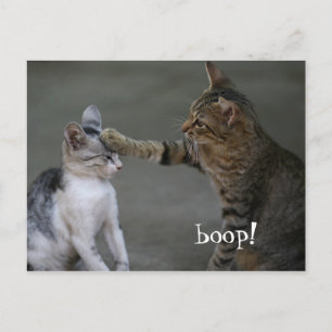 Carte postale de chat drôle Boop