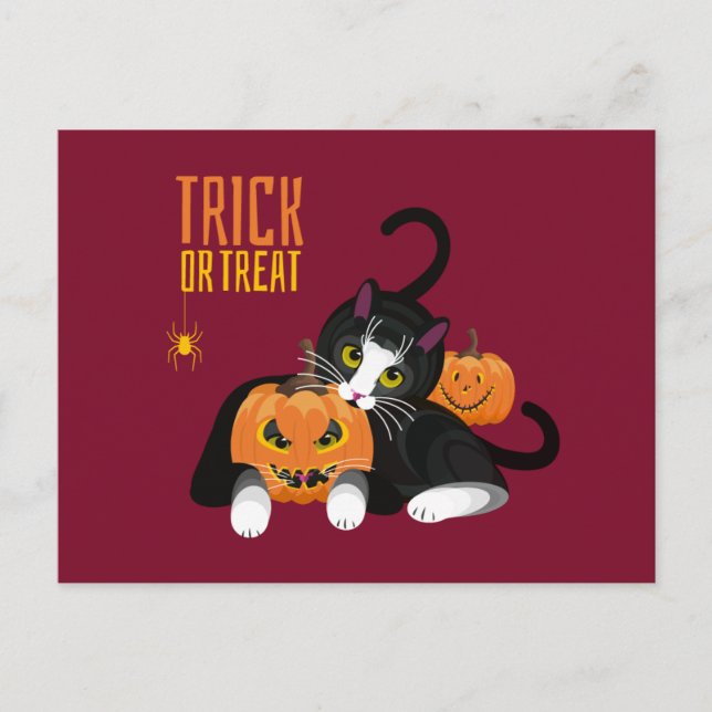 Carte postale de chat Halloween amusante 'Trick or (Devant)