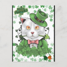 Carte postale de chat irlandais de la Saint-Patric