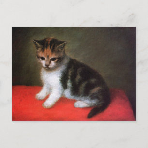 Carte postale de chat Kitty : Kitten par George St