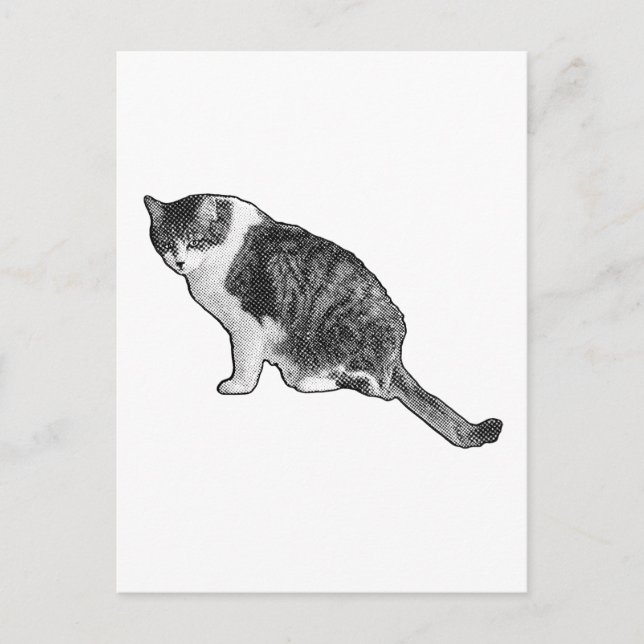 Carte postale de chat manga offrant un plaisir gra (Devant)