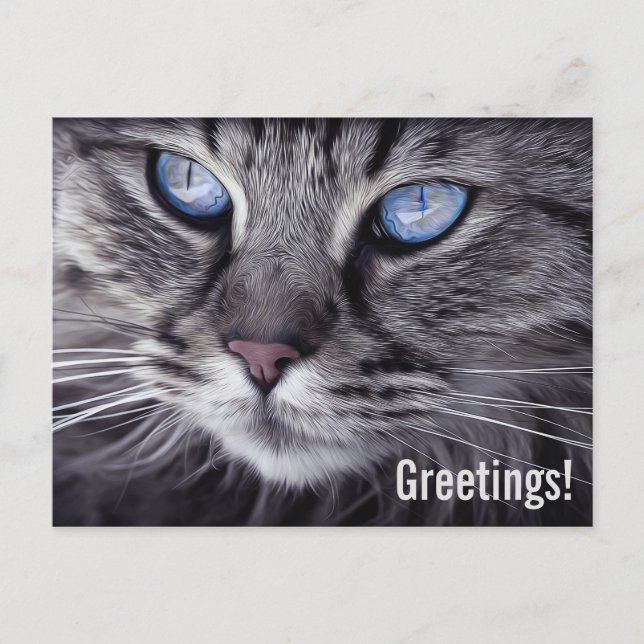 Carte postale de chat mignon (Devant)