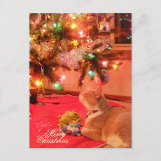 Carte postale de chat Noël