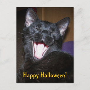 Carte postale de chat noir bâillant joyeux Hallowe