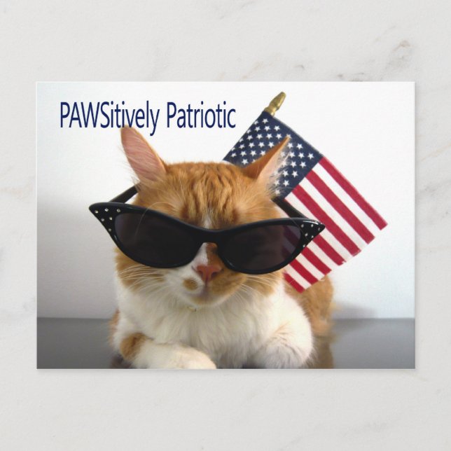 Carte postale de chat patriotique PAWSitive (Devant)