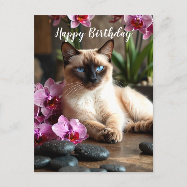 Carte postale de chat siamois au spa avec orchidée (Devant)