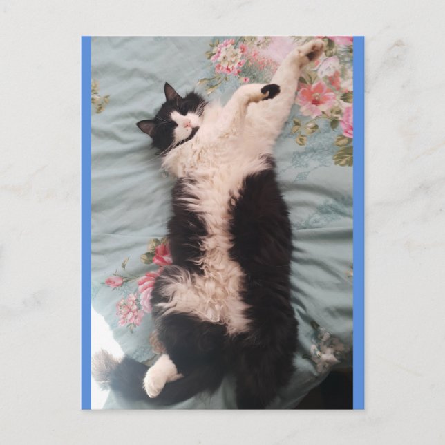 Carte postale de chat smoking mignon faisant une d (Devant)