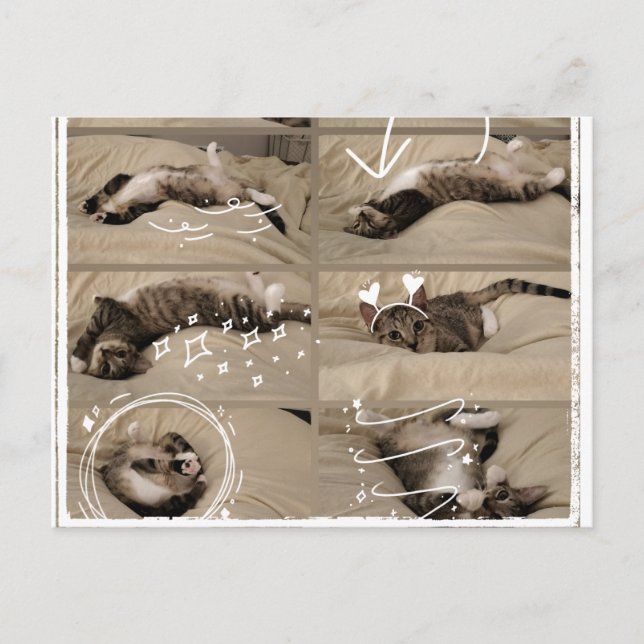 Carte postale de chaton adorable (Devant)