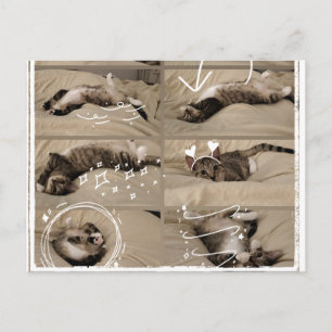 Carte postale de chaton adorable