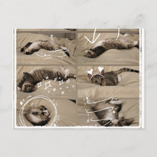 Carte postale de chaton adorable