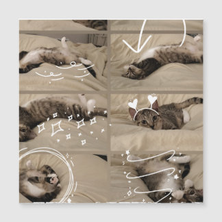 Carte postale de chaton adorable