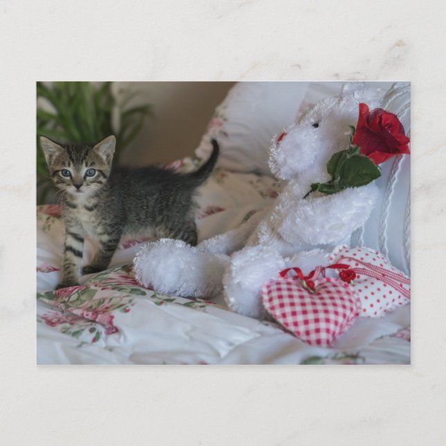 carte postale de chaton de la Saint-Valentin (Devant)