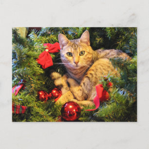 carte postale de chats d'arbre de Noël