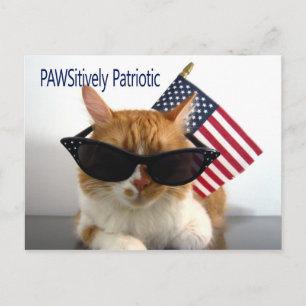 Carte postale de chats patriotiques