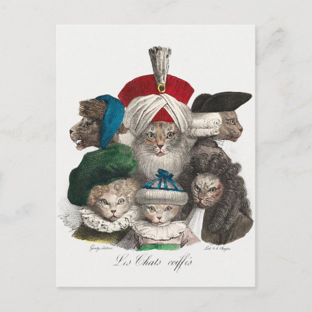 Carte postale de chats vintage (Devant)