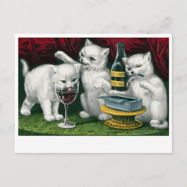 Carte postale de chats vintage (Devant)