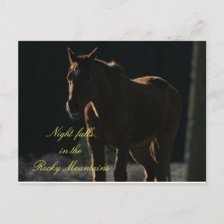 Carte postale de Cheval dans les Rocheuses