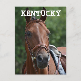 Carte postale de cheval de course LOUISVILLE KENTU
