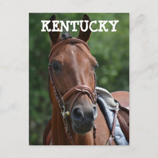 Carte postale de cheval de course LOUISVILLE KENTU