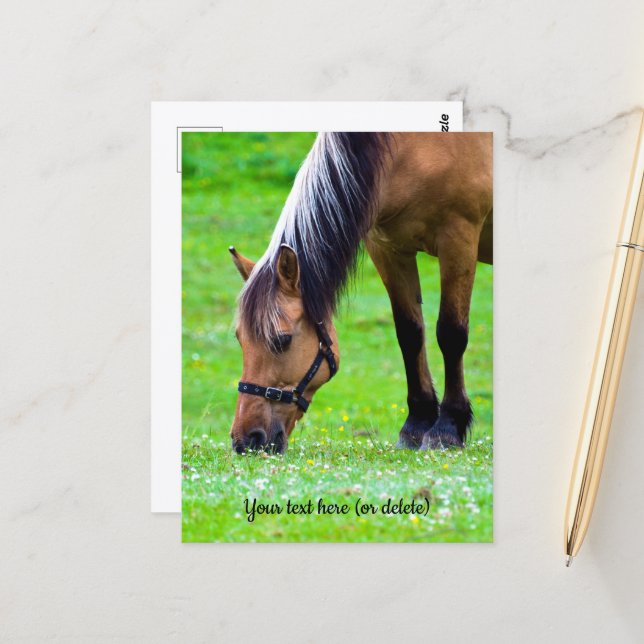 Carte postale de cheval de Fjord norvégien (Devant/Arrière en situation)