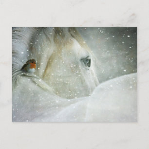 carte postale de cheval en hiver