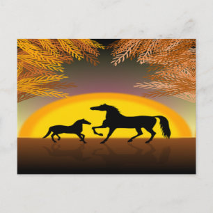 carte postale de chevaux au coucher du soleil