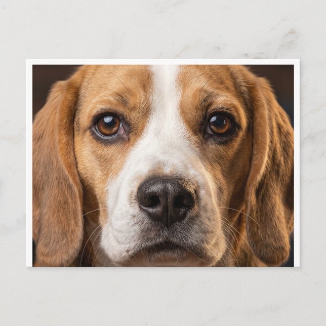 carte postale de chien Beagle adorable (Devant)