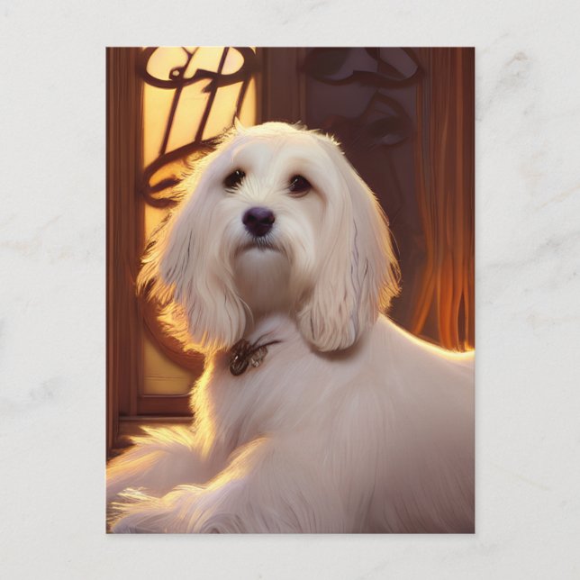 Carte postale de chien chiot Havanais mignon (Devant)