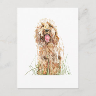 Carte postale de chien Cockapoo – Art animalier aq