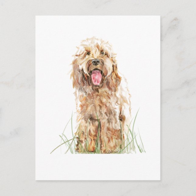 Carte postale de chien Cockapoo – Art animalier aq (Devant)