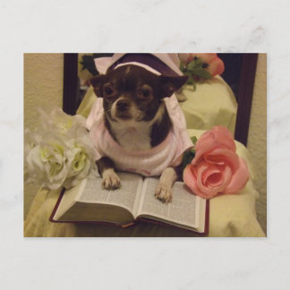 Carte postale de chien de lecture biblique quotidi