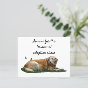 Carte postale de chien de race mixte du Labrador j