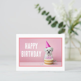 Carte postale de chien maltais avec chapeau de fêt