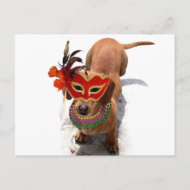 Carte postale de Chien Mardi Gras Dachshund (Devant)