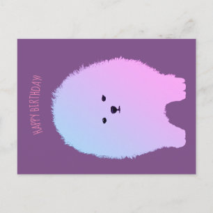 Carte postale de chien Poméranie, animal de compag