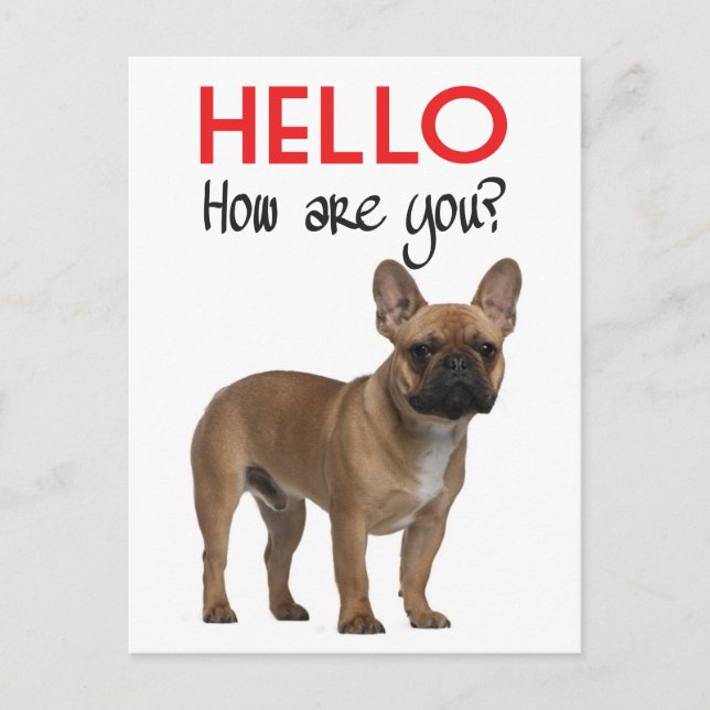 Carte postale de chiot bouledogue français Hello (Devant)