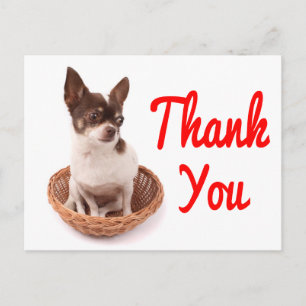 Carte postale de chiot chihuahua Merci