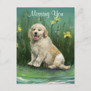 Carte postale de chiot Golden Retriever Vous manqu