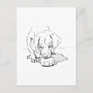 Carte postale de chiot Labrador pour amateur de ch