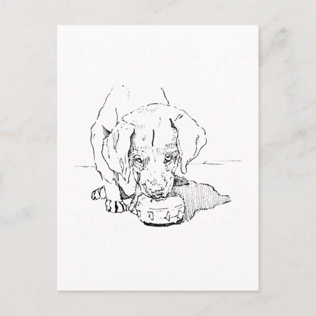 Carte postale de chiot Labrador pour amateur de ch (Devant)